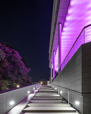 EUROPEAN PATENT OFFICE / STEVEN RAND